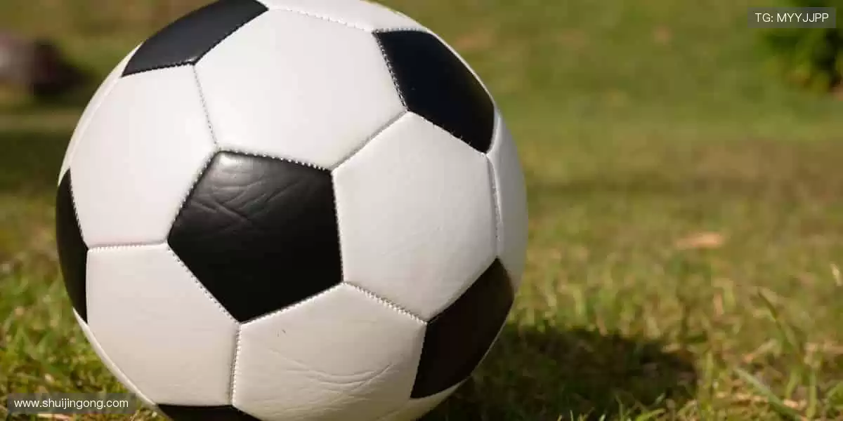 🏃♀️全民运动,健康生活!📅赛事日历,开启你的运动新纪元!